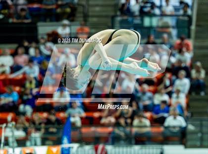 Thumbnail 2 in UIL 6A Swimming & Diving Finals (Diving) photogallery.
