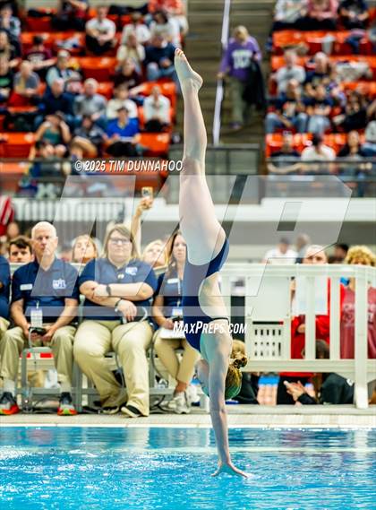 Thumbnail 1 in UIL 6A Swimming & Diving Finals (Diving) photogallery.
