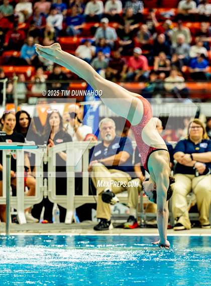 Thumbnail 1 in UIL 6A Swimming & Diving Finals (Diving) photogallery.