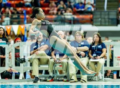 Thumbnail 2 in UIL 6A Swimming & Diving Finals (Diving) photogallery.