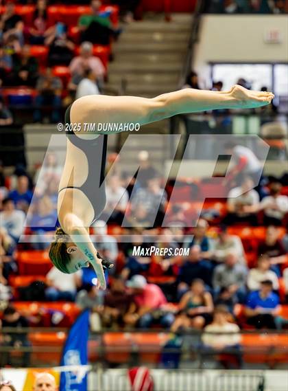 Thumbnail 1 in UIL 6A Swimming & Diving Finals (Diving) photogallery.
