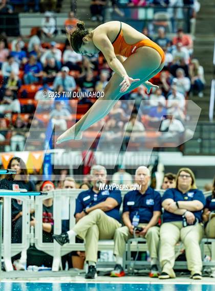 Thumbnail 1 in UIL 6A Swimming & Diving Finals (Diving) photogallery.