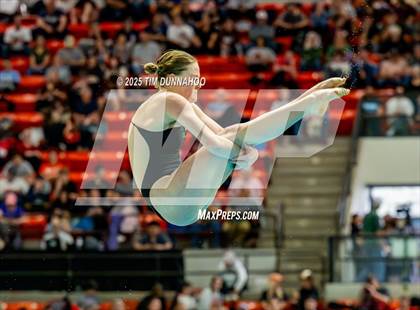 Thumbnail 3 in UIL 6A Swimming & Diving Finals (Diving) photogallery.