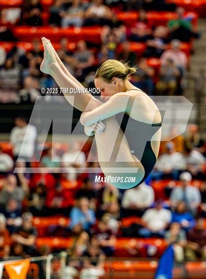 Thumbnail 1 in UIL 6A Swimming & Diving Finals (Diving) photogallery.