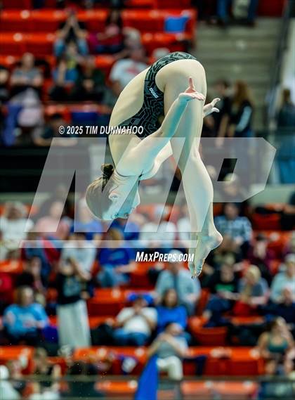 Thumbnail 2 in UIL 6A Swimming & Diving Finals (Diving) photogallery.