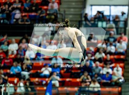Thumbnail 3 in UIL 6A Swimming & Diving Finals (Diving) photogallery.