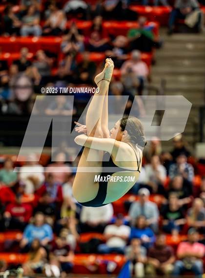Thumbnail 2 in UIL 6A Swimming & Diving Finals (Diving) photogallery.
