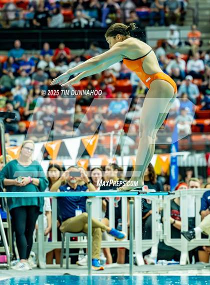 Thumbnail 2 in UIL 6A Swimming & Diving Finals (Diving) photogallery.