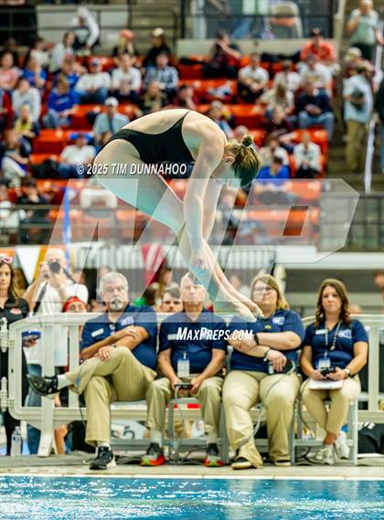 Thumbnail 3 in UIL 6A Swimming & Diving Finals (Diving) photogallery.