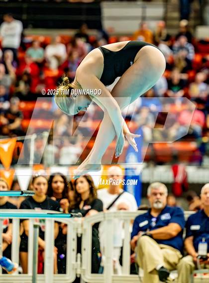Thumbnail 2 in UIL 6A Swimming & Diving Finals (Diving) photogallery.