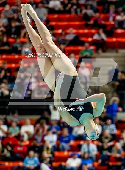 Thumbnail 1 in UIL 6A Swimming & Diving Finals (Diving) photogallery.