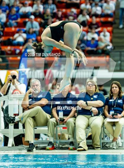 Thumbnail 2 in UIL 6A Swimming & Diving Finals (Diving) photogallery.