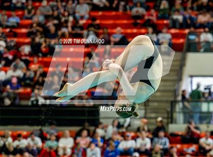 Thumbnail 1 in UIL 6A Swimming & Diving Finals (Diving) photogallery.