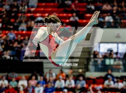 Thumbnail 2 in UIL 6A Swimming & Diving Finals (Diving) photogallery.