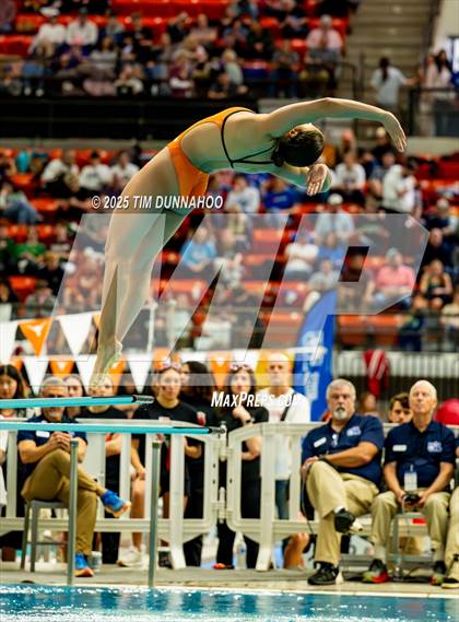 Thumbnail 3 in UIL 6A Swimming & Diving Finals (Diving) photogallery.