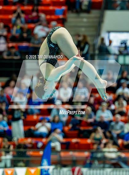Thumbnail 3 in UIL 6A Swimming & Diving Finals (Diving) photogallery.
