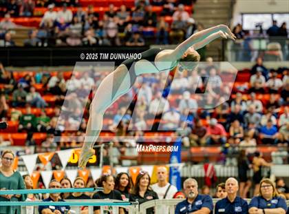 Thumbnail 1 in UIL 6A Swimming & Diving Finals (Diving) photogallery.