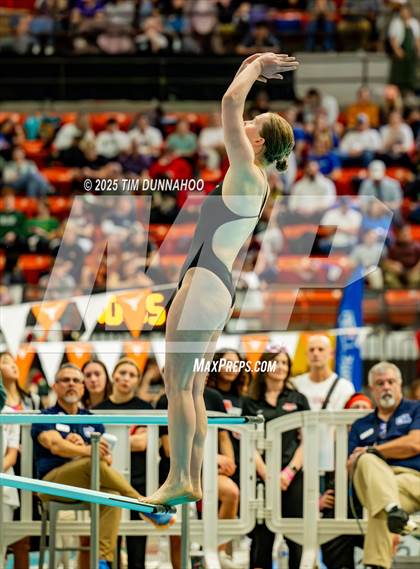 Thumbnail 3 in UIL 6A Swimming & Diving Finals (Diving) photogallery.