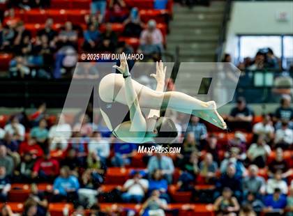 Thumbnail 2 in UIL 6A Swimming & Diving Finals (Diving) photogallery.
