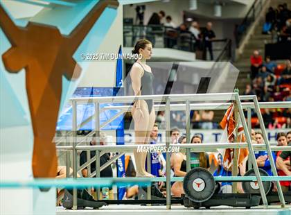Thumbnail 1 in UIL 6A Swimming & Diving Finals (Diving) photogallery.