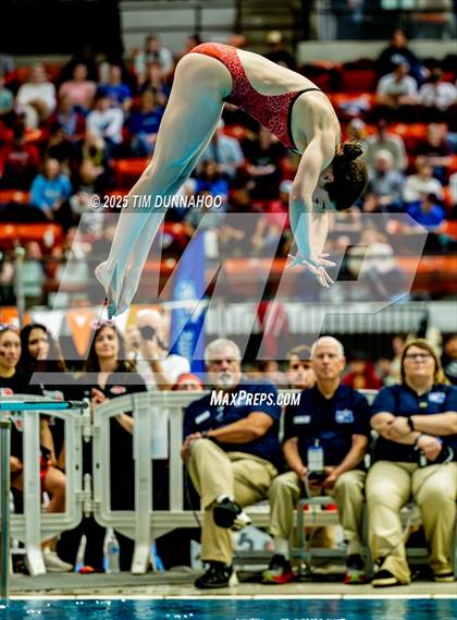 Thumbnail 2 in UIL 6A Swimming & Diving Finals (Diving) photogallery.