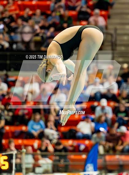 Thumbnail 2 in UIL 6A Swimming & Diving Finals (Diving) photogallery.