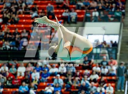 Thumbnail 1 in UIL 6A Swimming & Diving Finals (Diving) photogallery.