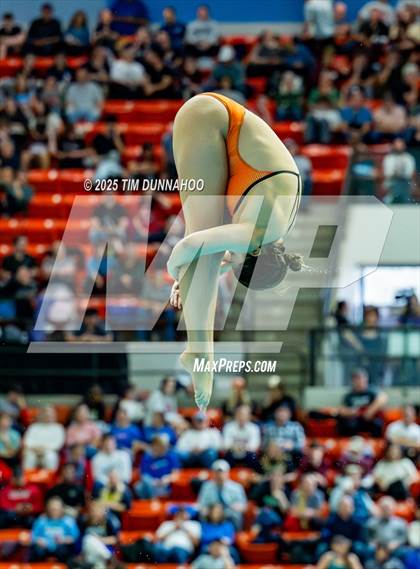 Thumbnail 3 in UIL 6A Swimming & Diving Finals (Diving) photogallery.