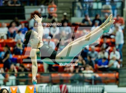 Thumbnail 3 in UIL 6A Swimming & Diving Finals (Diving) photogallery.