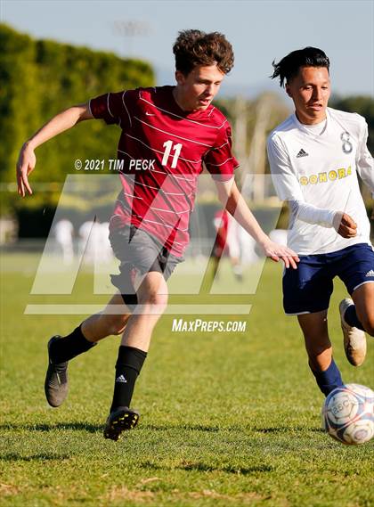 Thumbnail 3 in JV: Sonora @ Esperanza photogallery.