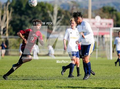 Thumbnail 1 in JV: Sonora @ Esperanza photogallery.