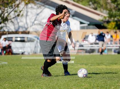 Thumbnail 1 in JV: Sonora @ Esperanza photogallery.