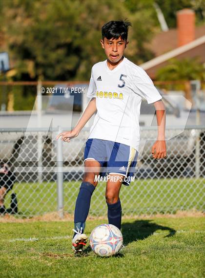 Thumbnail 1 in JV: Sonora @ Esperanza photogallery.