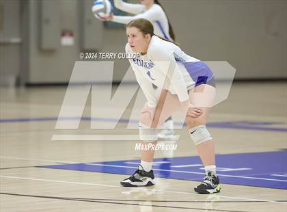 Thumbnail 1 in Mountain View @ Bingham (Sophomore) photogallery.