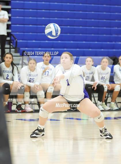 Thumbnail 1 in Mountain View @ Bingham (Sophomore) photogallery.