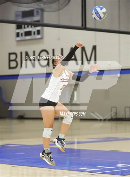 Thumbnail 3 in Mountain View @ Bingham (Sophomore) photogallery.