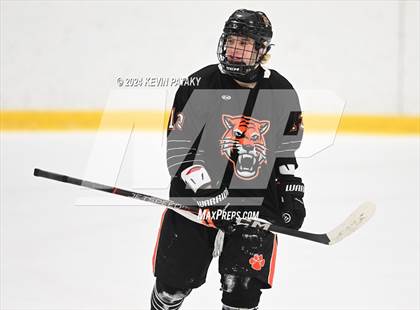 Thumbnail 2 in Ridgefield vs. Darien (CIAC DI Quarterfinal) photogallery.