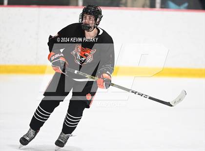 Thumbnail 1 in Ridgefield vs. Darien (CIAC DI Quarterfinal) photogallery.