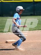 Photo from the gallery "Hillsdale @ Sequoia"