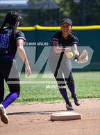 Photo from the gallery "Hillsdale @ Sequoia"