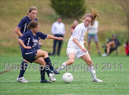 Thumbnail 1 in Framingham @ Needham photogallery.