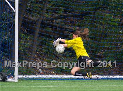 Thumbnail 1 in Framingham @ Needham photogallery.
