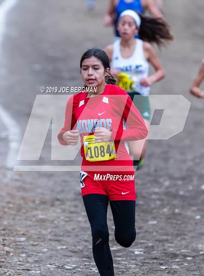 Thumbnail 3 in CIF State Cross Country Championships (Girls D2 Race) photogallery.