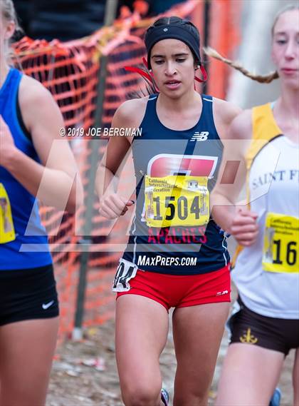 Thumbnail 1 in CIF State Cross Country Championships (Girls D2 Race) photogallery.