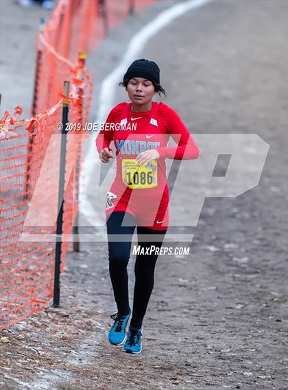 Thumbnail 2 in CIF State Cross Country Championships (Girls D2 Race) photogallery.