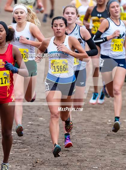 Thumbnail 2 in CIF State Cross Country Championships (Girls D2 Race) photogallery.