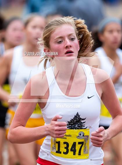 Thumbnail 2 in CIF State Cross Country Championships (Girls D2 Race) photogallery.