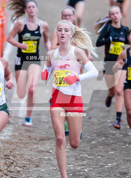 Thumbnail 3 in CIF State Cross Country Championships (Girls D2 Race) photogallery.