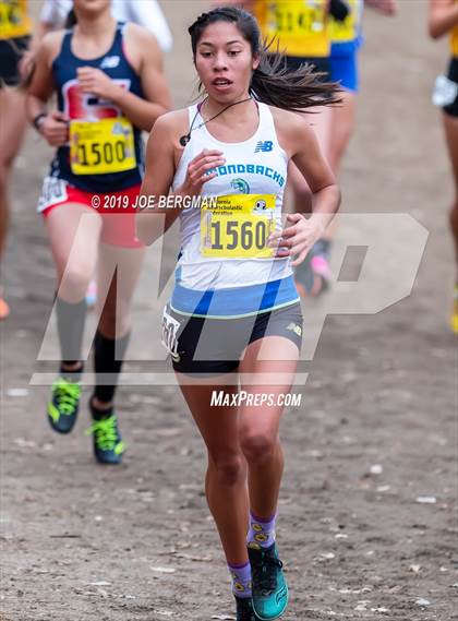 Thumbnail 1 in CIF State Cross Country Championships (Girls D2 Race) photogallery.