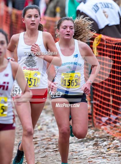 Thumbnail 1 in CIF State Cross Country Championships (Girls D2 Race) photogallery.